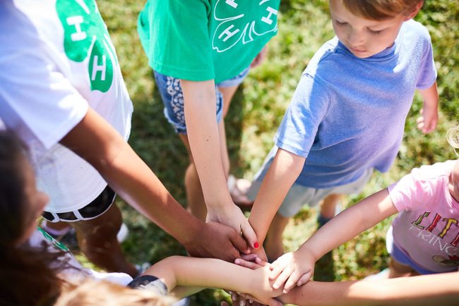 New Project Interest