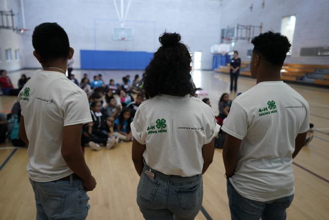 Summer Project Learning Day