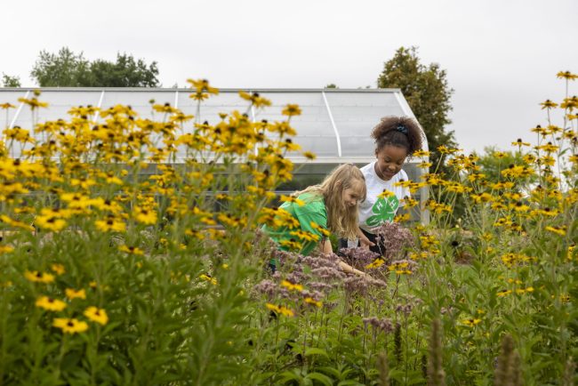 Natural Sciences, Plants, Soils