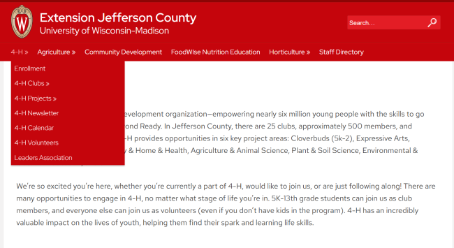 Website Update & Social Media