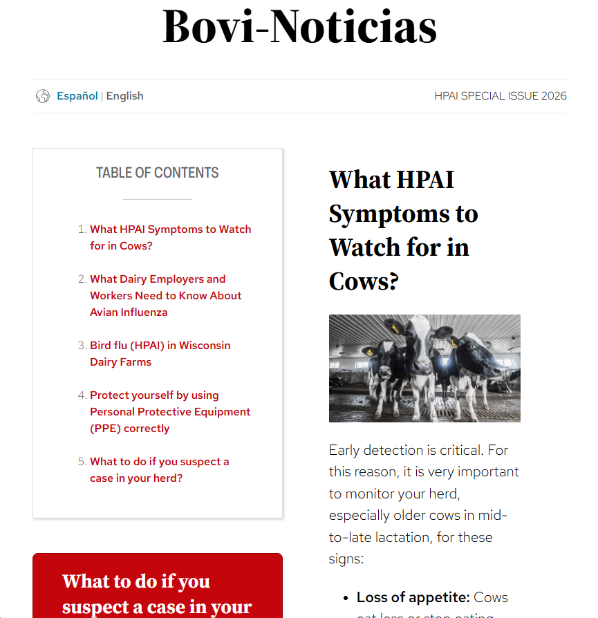English version of Bovi-Noticia