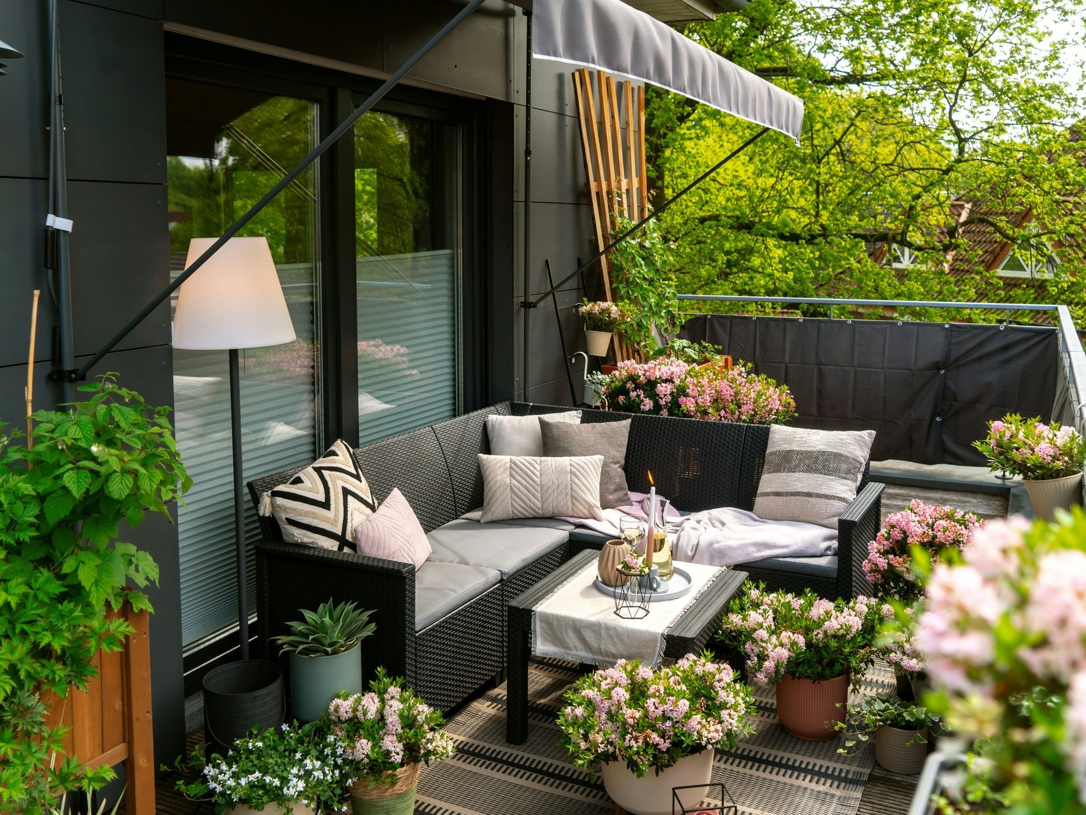 Small patio filled with plants and outdoor furniture creating a cozy space.