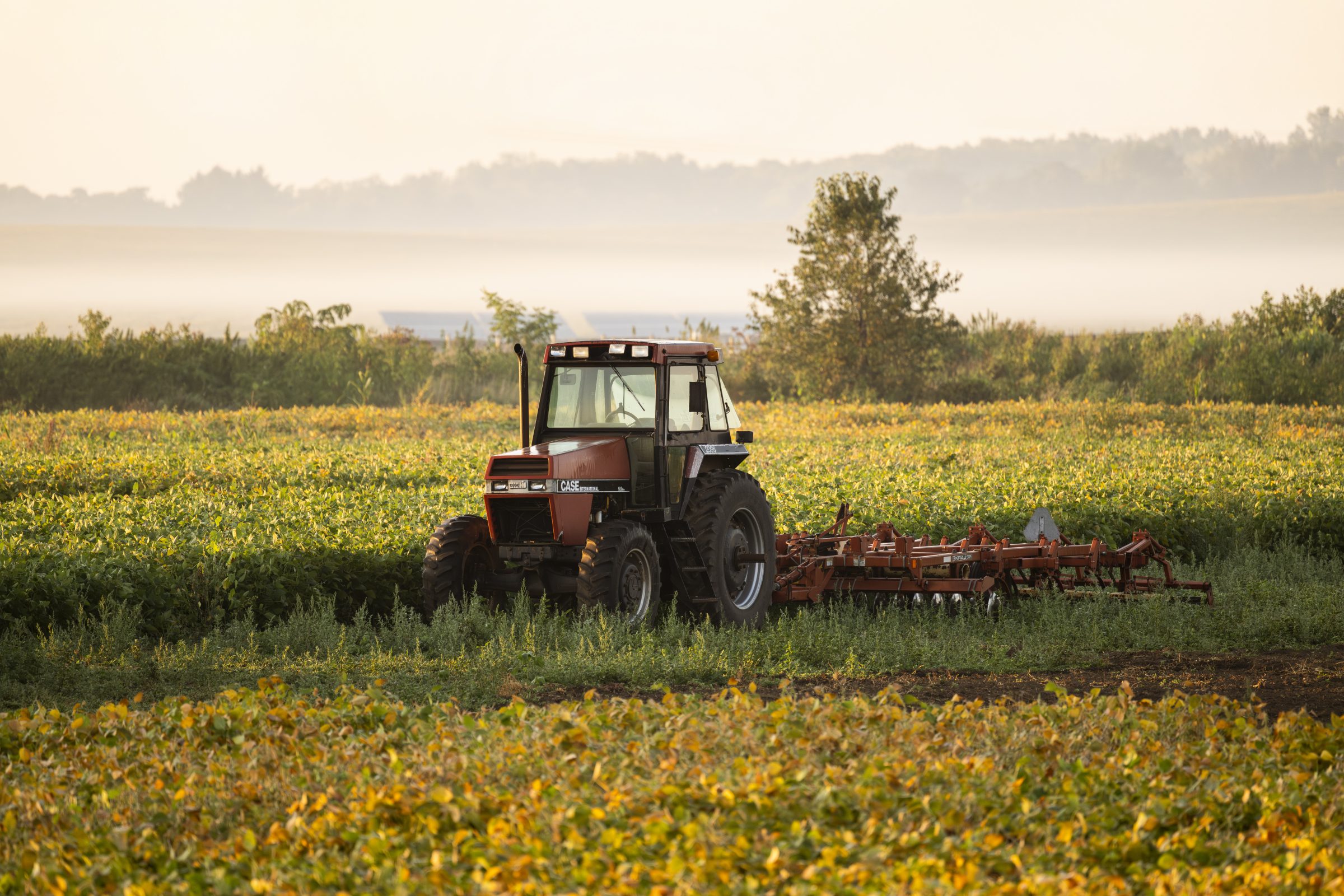 Tractor in a field