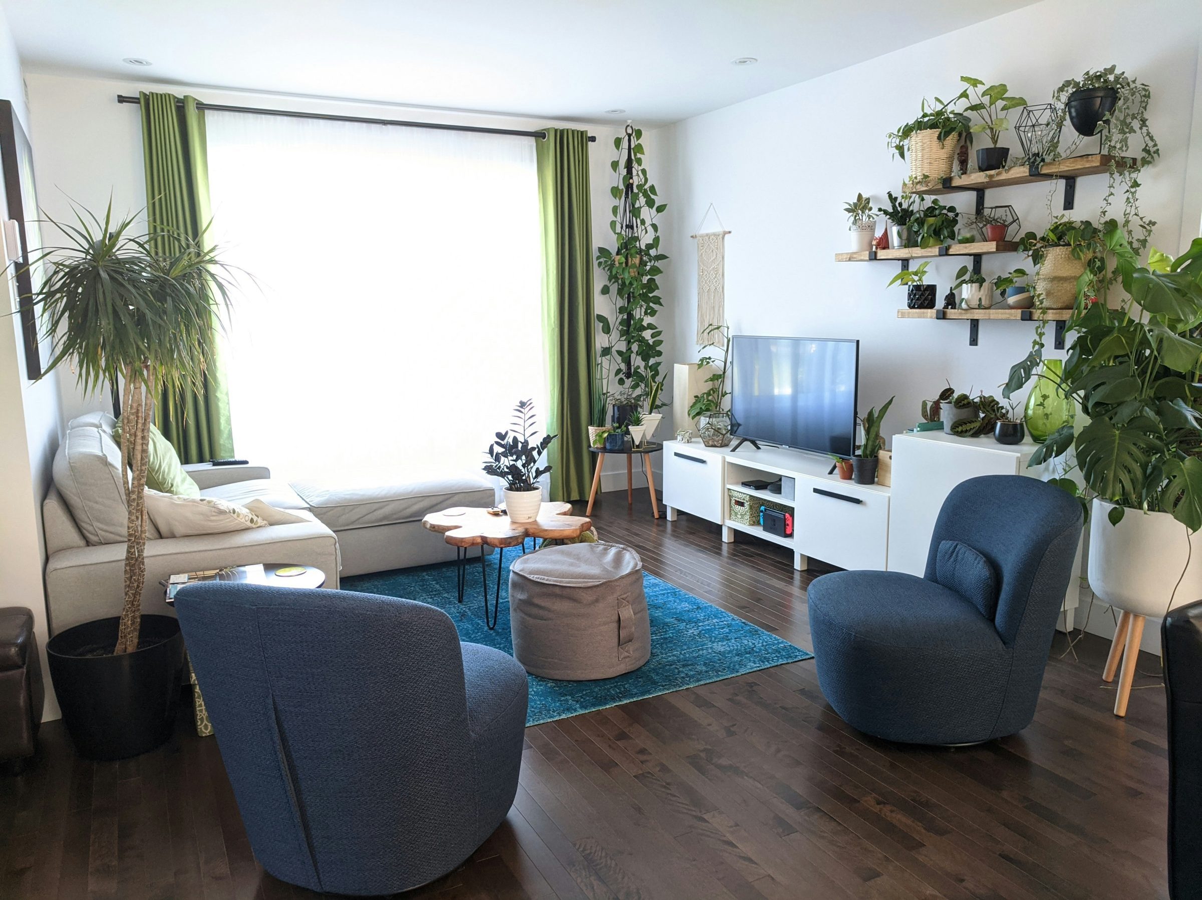 Bright living room with plants and minimal furniture.