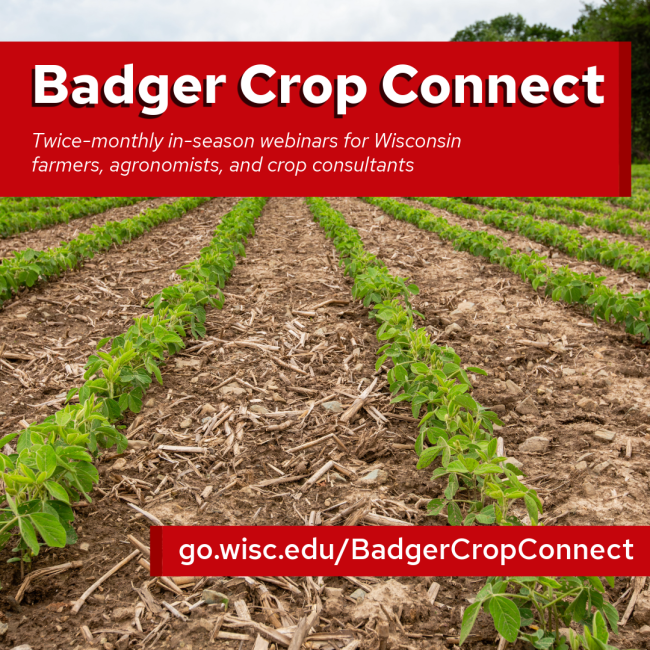 Badger Crop Connect
go.wisc.edu/BadgerCropConnect