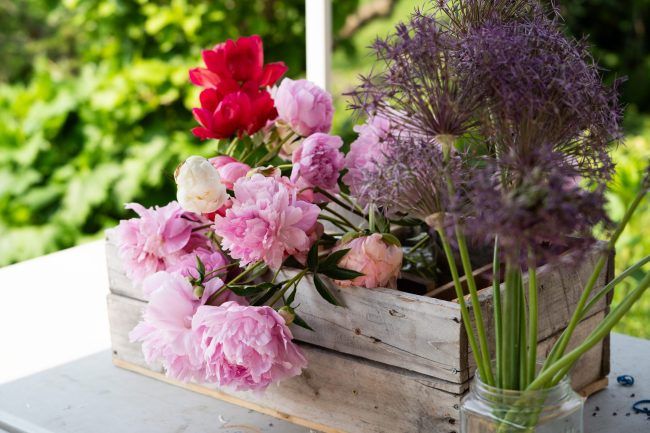 Wooden box with some picked pink and red flowers and a glass jar with some purple flowers in it