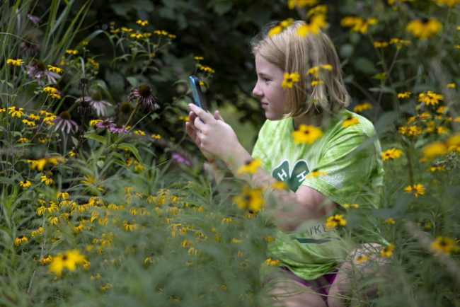 Natural Sciences, Plants, Soils
