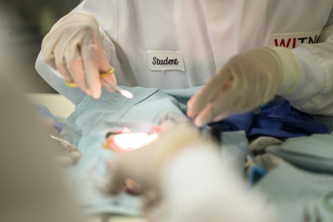 University student performing a medical procedure