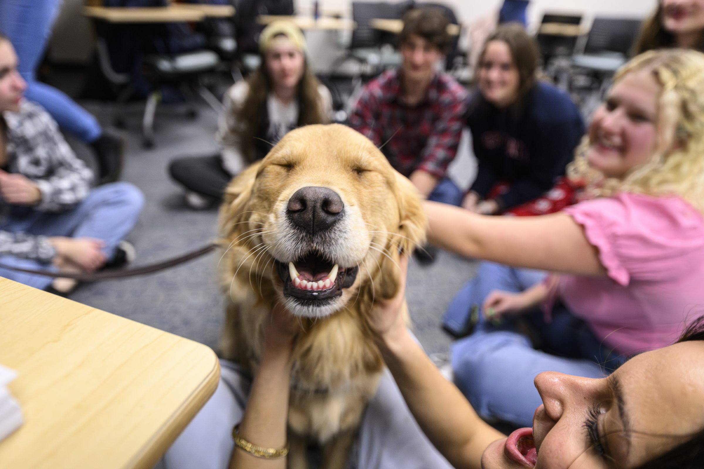 Golden Retriever in a circle surrounded by kids as a couple of them pet him. His name is in a smile.