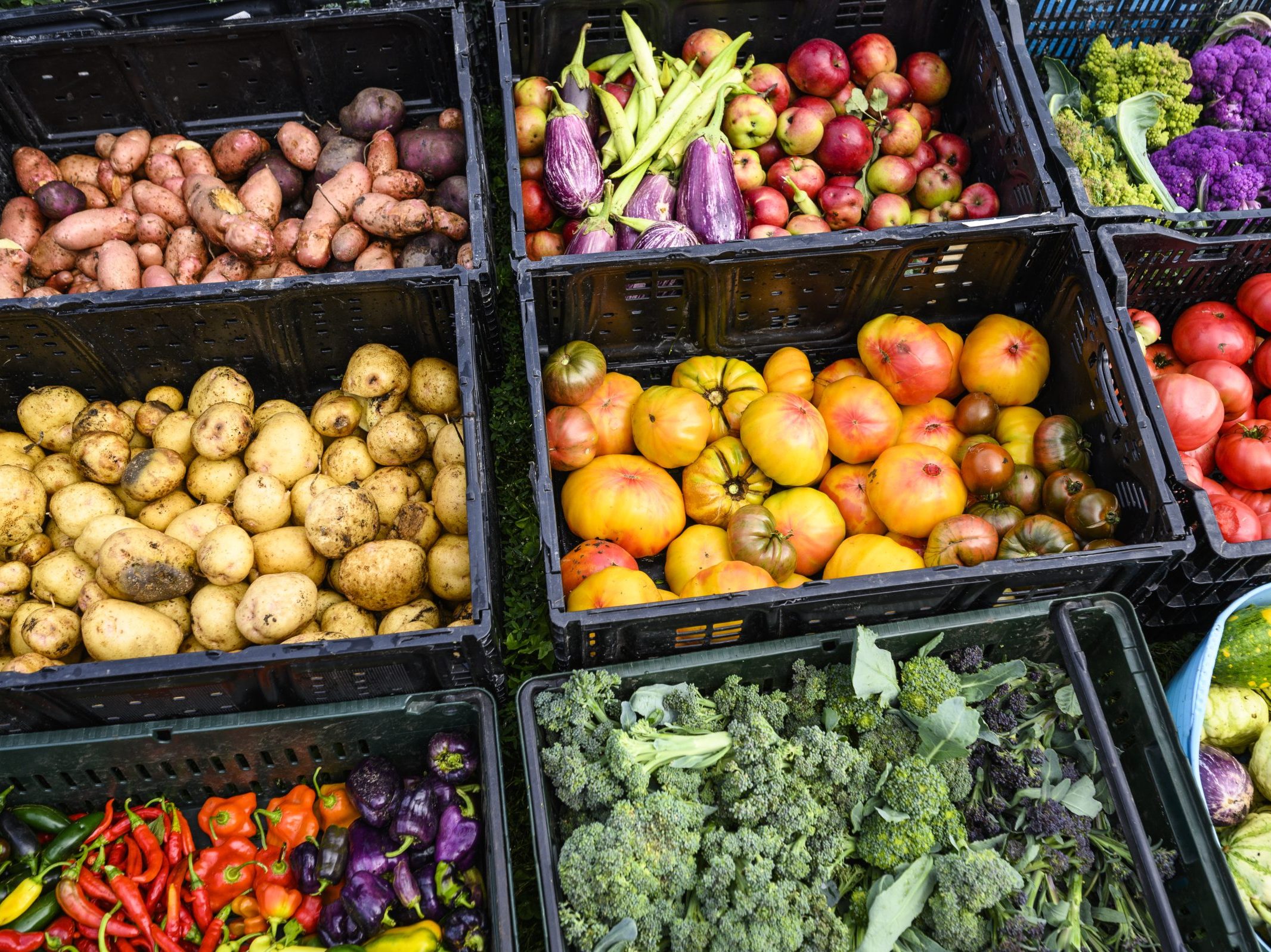 Produce in black bins at a market.