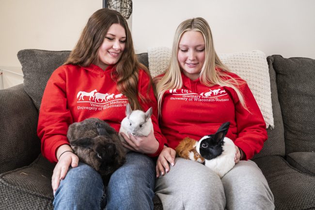 Two girls on couch with some bunnies and a chinchilla on their laps.