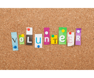 Volunteer of the Month: Becki Durkee