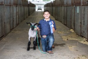 Fair Information: Animals