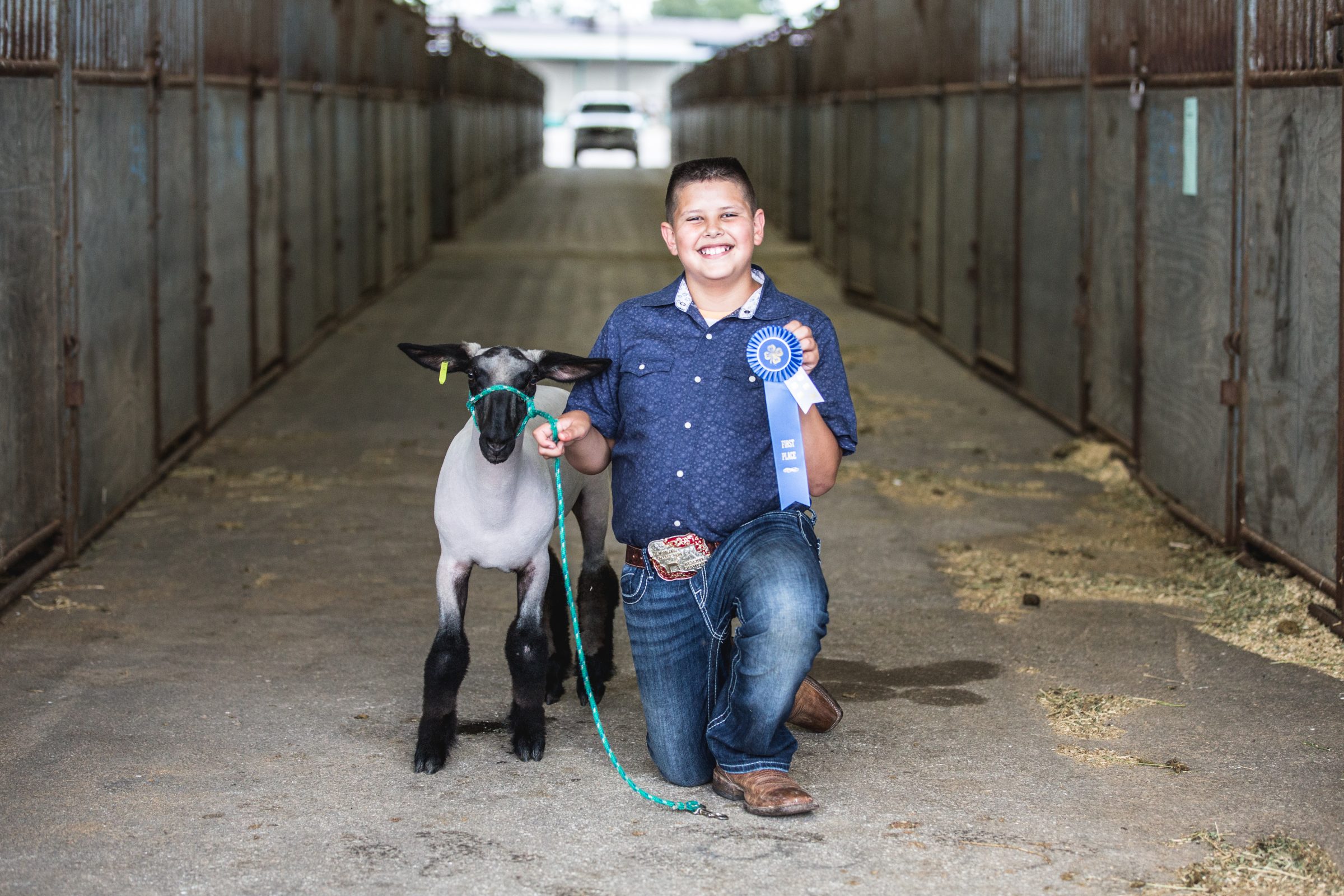 Boy kneeling next to a sheep holding a blue ribbon won at a fair