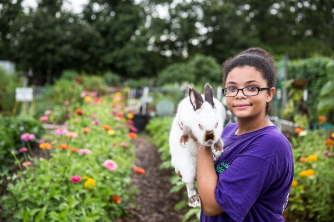 Girl in a garden holding a white and gray rabbit.