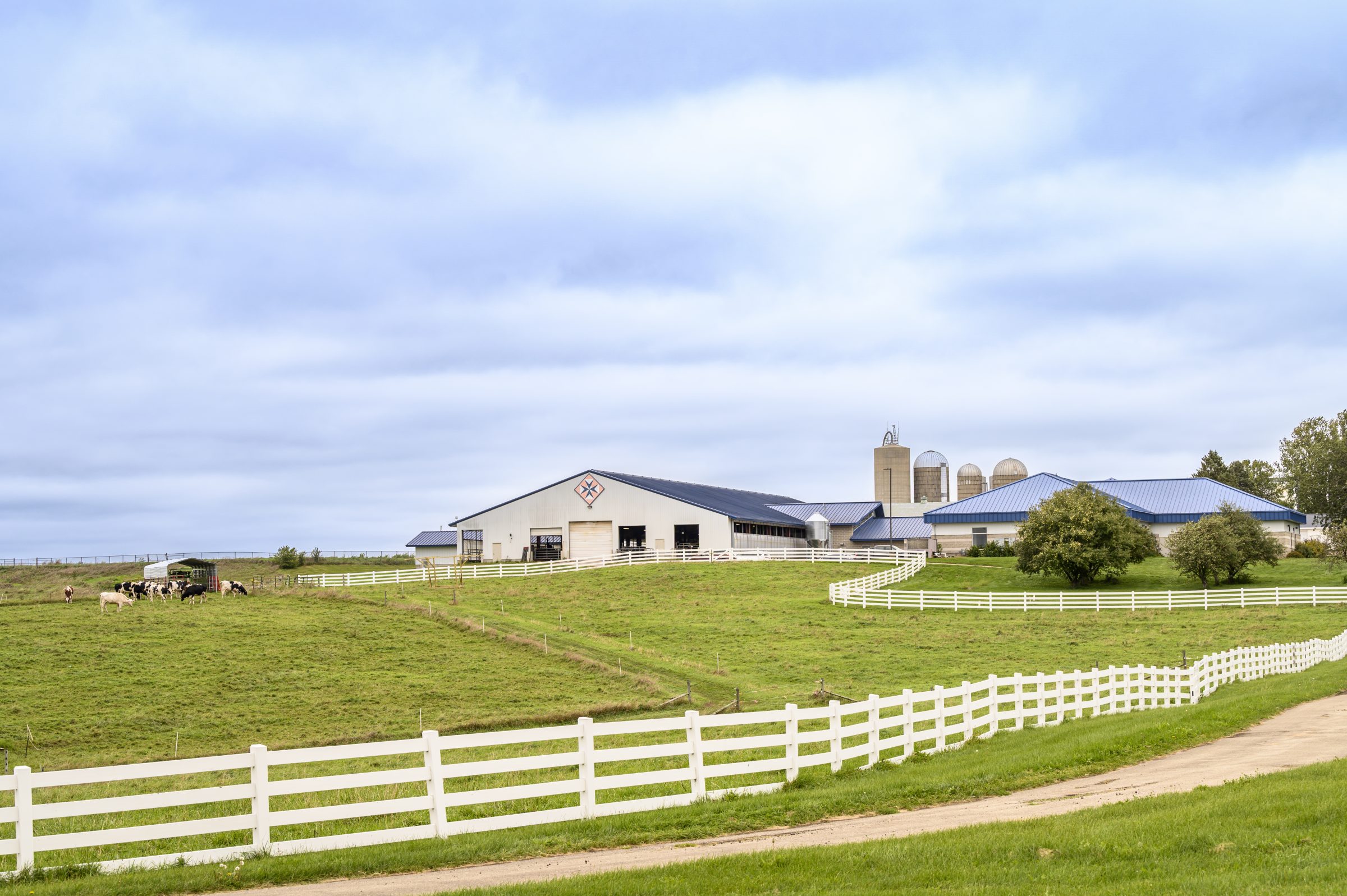 Farm with white building and blue roofs. White fences around the farm.