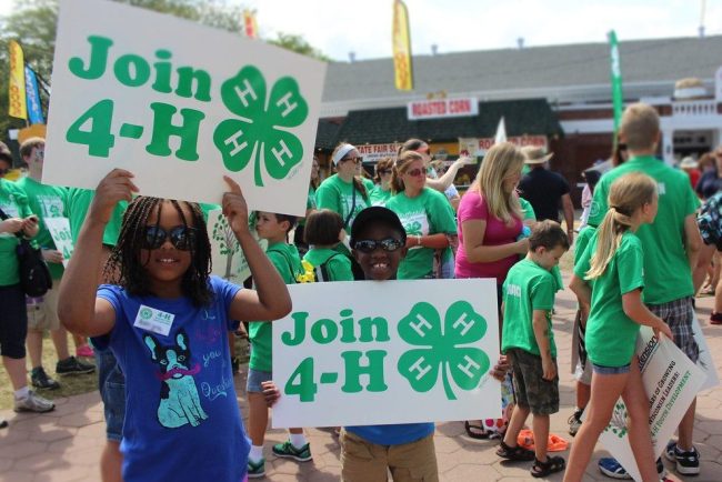 4-H Open House