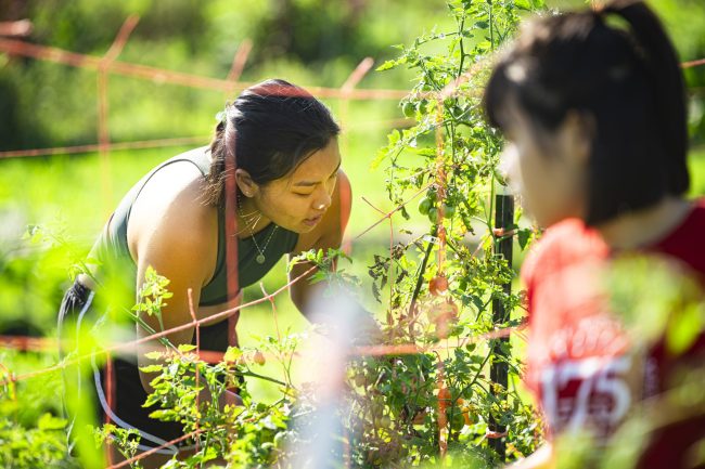 Natural Sciences, Plants & Soils