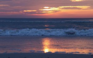 August Photo Contest Results