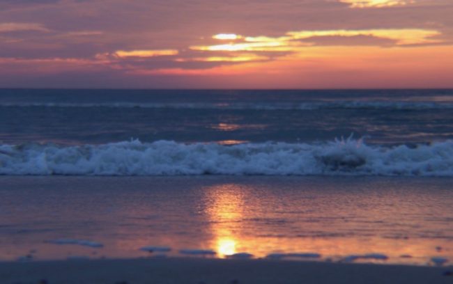 August Photo Contest Results