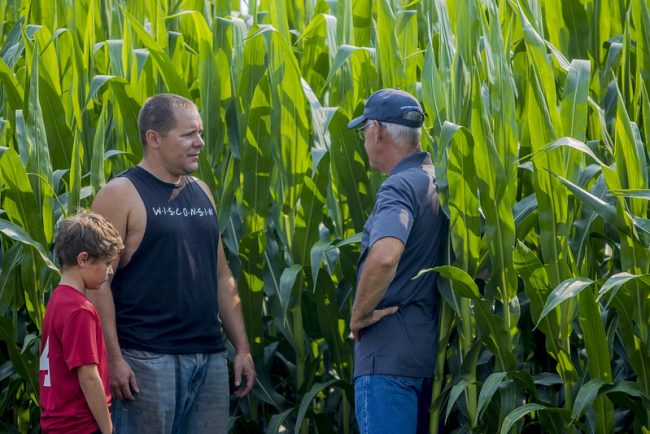 Three generations of men in front of a corn field talking