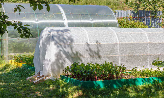 Cold frames over garden beds