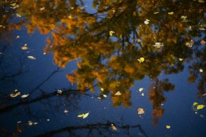 Haunted Hike: Volunteers Needed