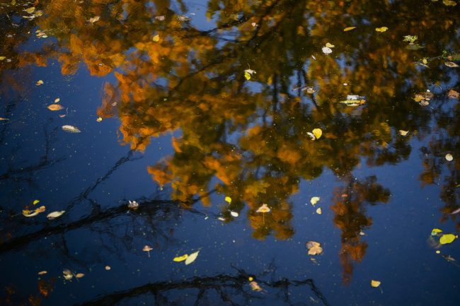 Haunted Hike: Volunteers Needed