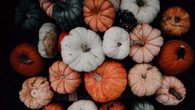 Photo Contest: Spooky Season