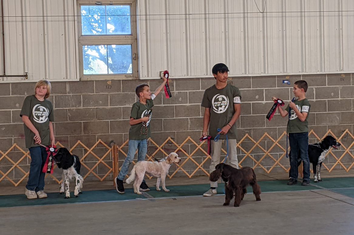 Four young boys at a fair holding ribbons they won with their dogs. 
